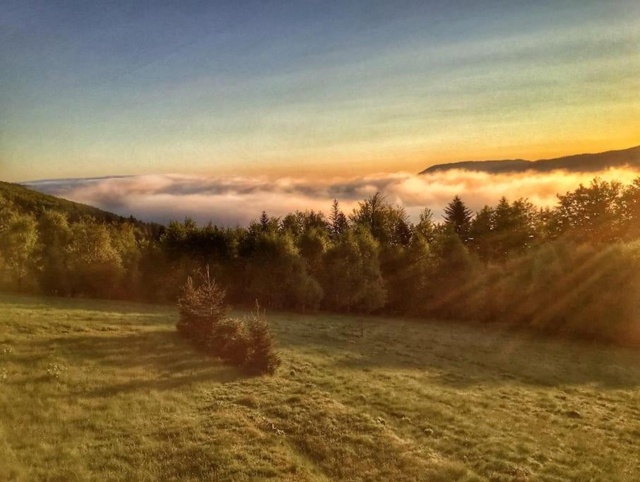 Domek Gorski Na Polanie Goryczkowej 700 M Npm - Szczyrk Dojazd Samochodem Terenowym, W Zimie Utrudniony - Wymagane Lancuchy Exteriör bild