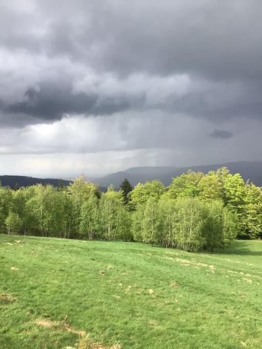 Domek Gorski Na Polanie Goryczkowej 700 M Npm - Szczyrk Dojazd Samochodem Terenowym, W Zimie Utrudniony - Wymagane Lancuchy Exteriör bild